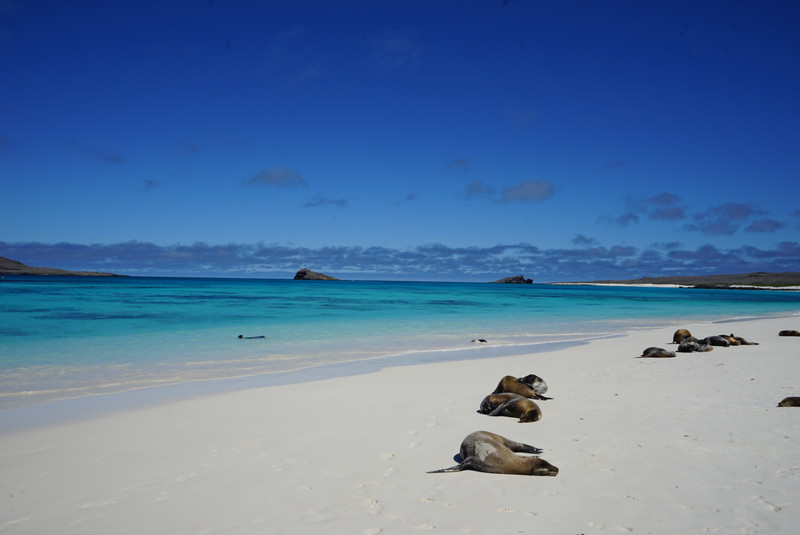 Beach in the Galapagos