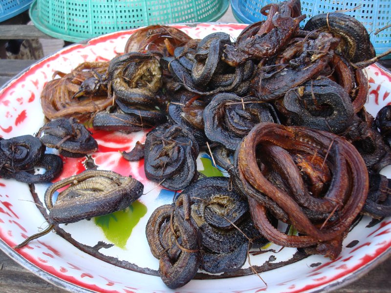 Fried Small Snakes