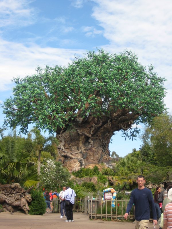 Better view of the Tree of Life