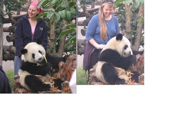 Us patting the panda
