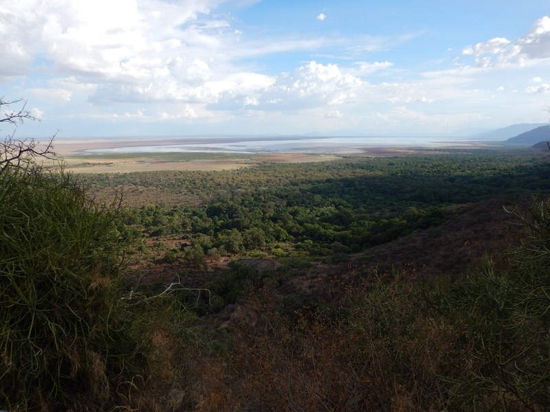 Tanzania (110)