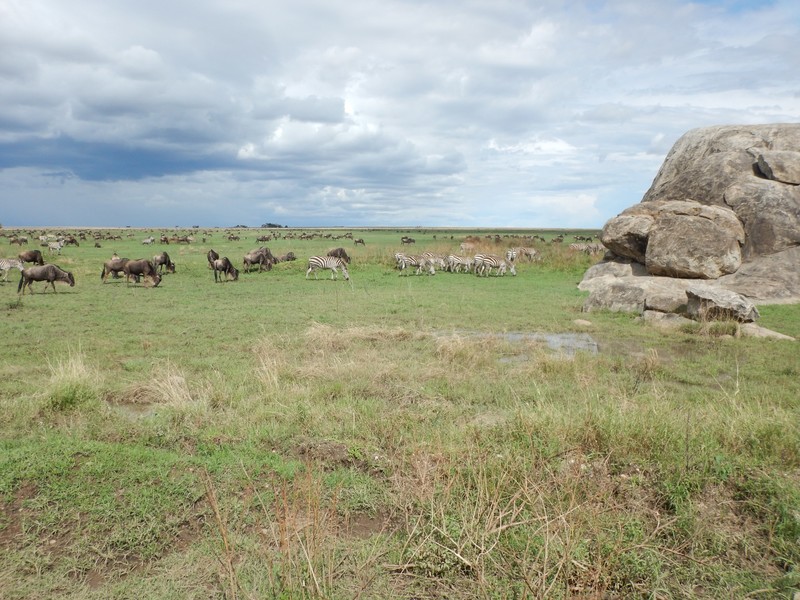 Tanzania (186)