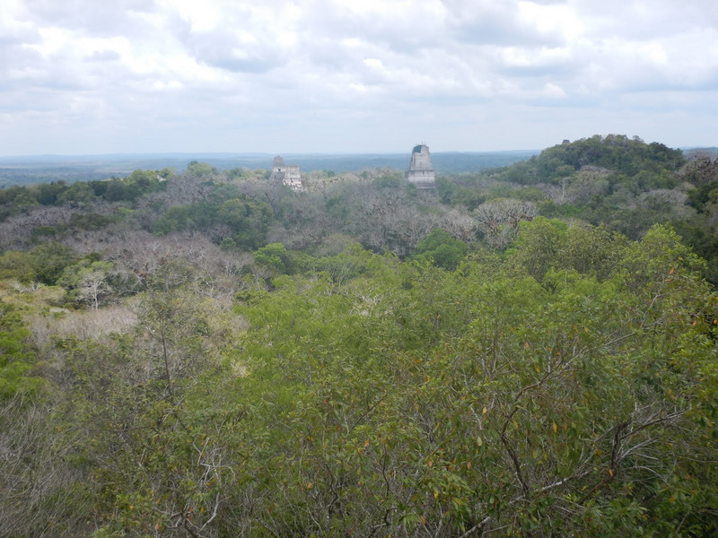 Tikal2