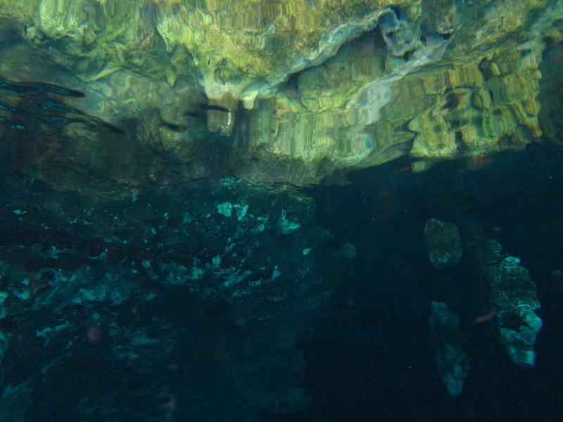 cavern ceiling