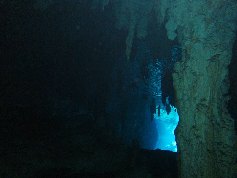 view through the water