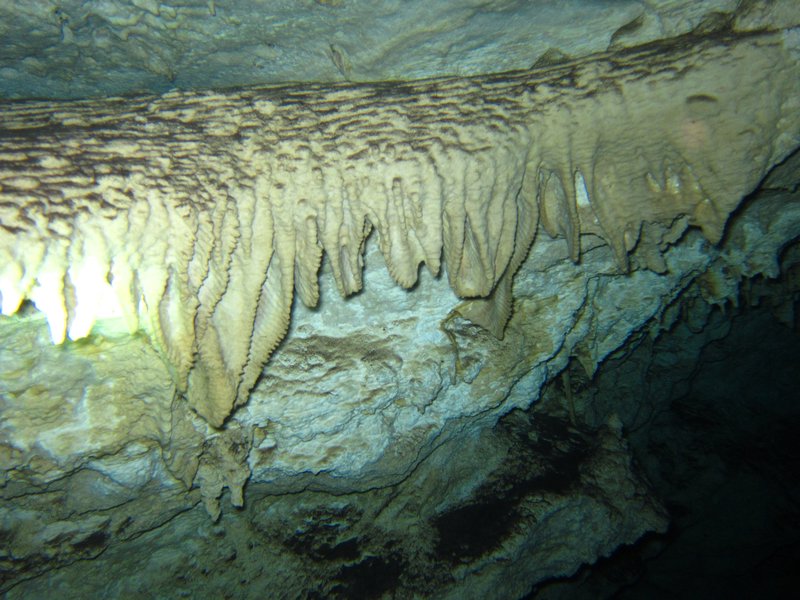a bank of stalagtite structures