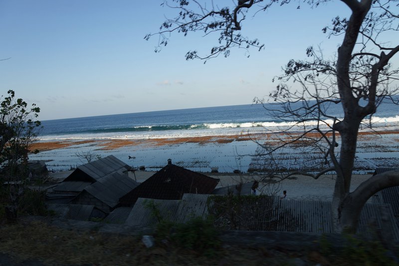 Seaweed farming at the north coast of Nusa Penida