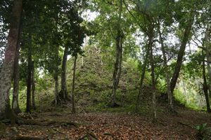 a still buried pyramid in Tikal