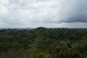 View from Templo IV