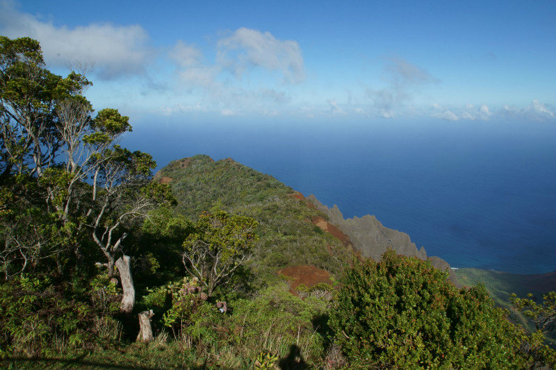 View from Kalalau Lookout