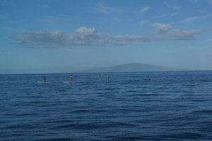 Stand up padlers in front of Lanai