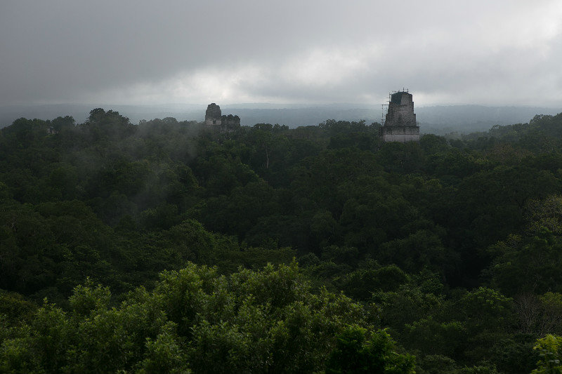 Sight from Templo IV, Tikal
