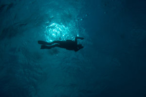 Diver against the light