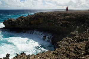 close to the blowhole