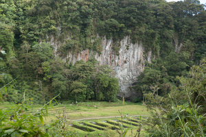 basalt in the valley
