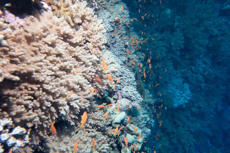 looking along the reef 