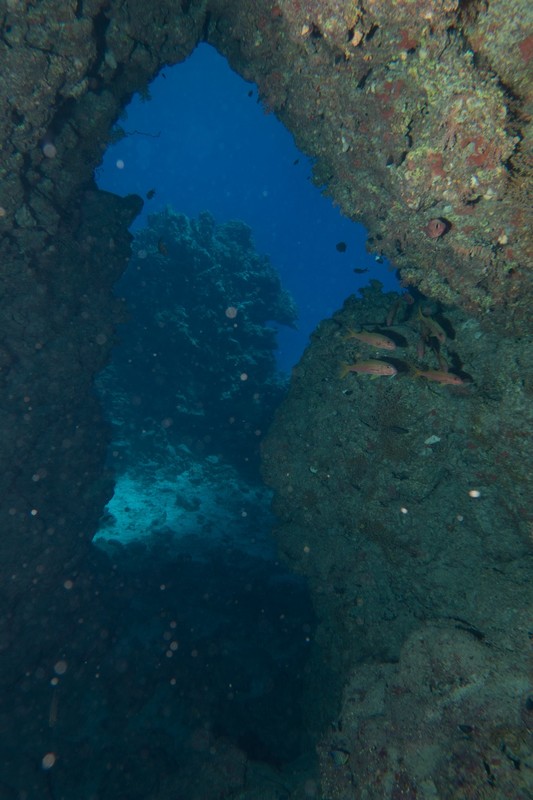 a hole in the reef