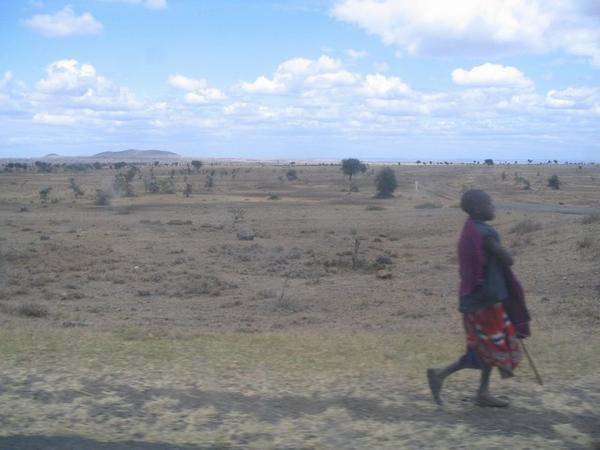 Maasai en la llanura