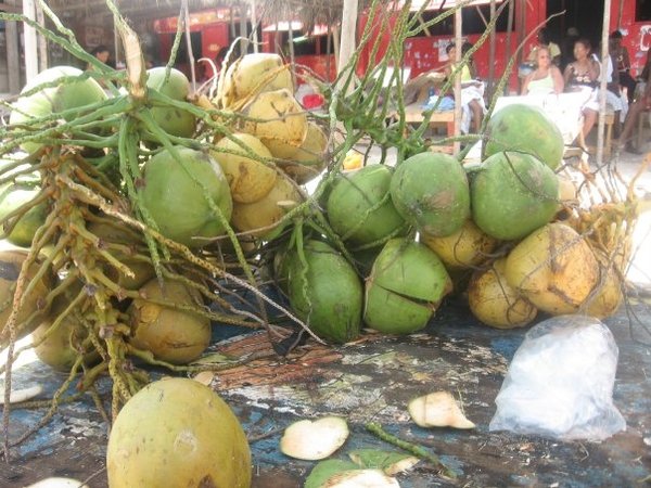 Jamaican Coconuts