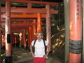The torii gates