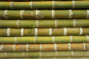 Bambus, Baumaterial Nr. 1