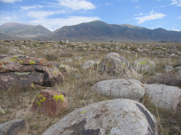 Fields of Rocks