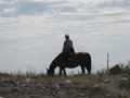 Shepherd on a Horse