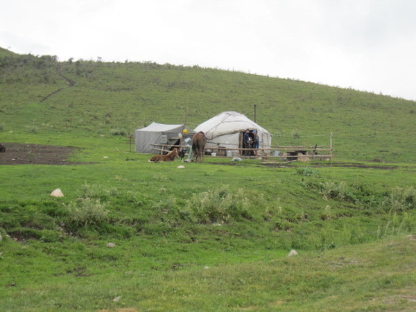 Shepherd's Camp