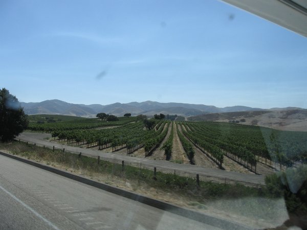 Salinas Valley Vineyards