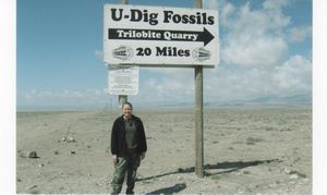 U-Dig Sign