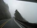 A Foggy Road