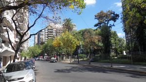 Buenos Aires - Palermo (20)