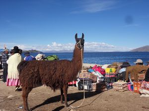 Titicaca- Isla del Sol (178)