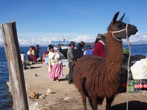 Titicaca- Isla del Sol (181)