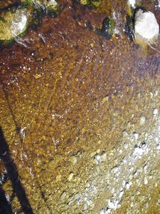 Brown water from Lake Matheson