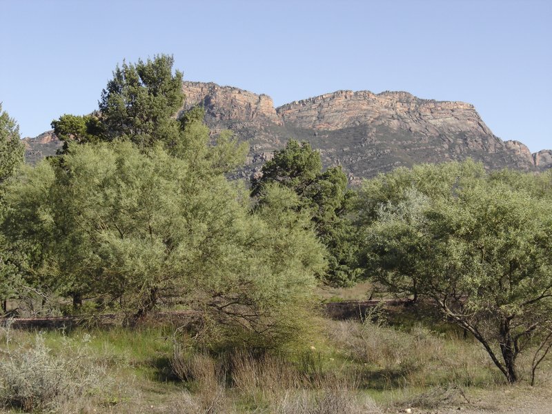 The south end of Wilpena Pound