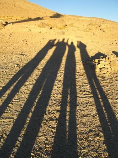 desert shadows