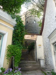 33 Tallinn, Estonia.