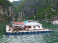 33 The floating Village -  Ha Long Bay Vietnam