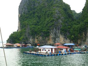 31 The floating Village -  Ha Long Bay Vietnam