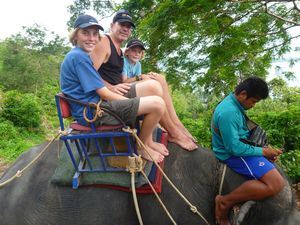 43 Elephant ride in Phuket