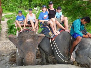 45 Elephant ride in Phuket