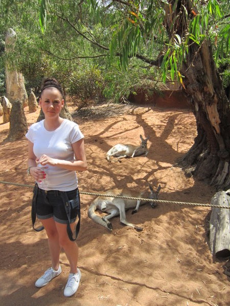 Standing beside the lazy Kangeroos