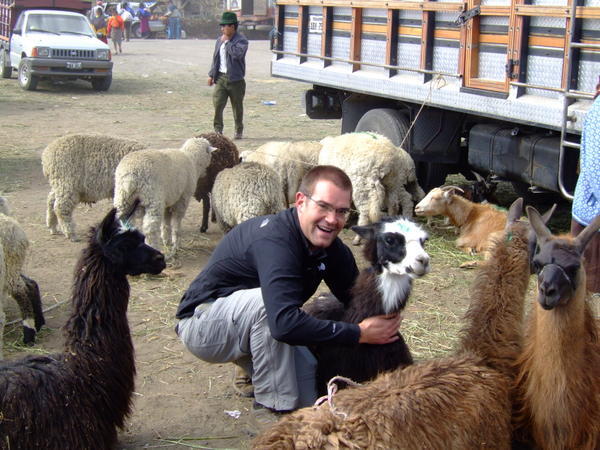 Friendlier Llama than those in Peru!