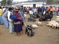 Locals at Cotapaxi market