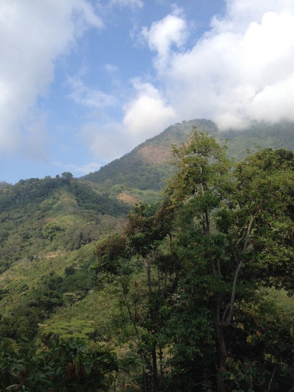 Mountain/jungle view