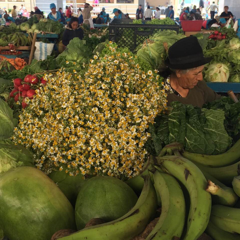 Manzanilla Vendor
