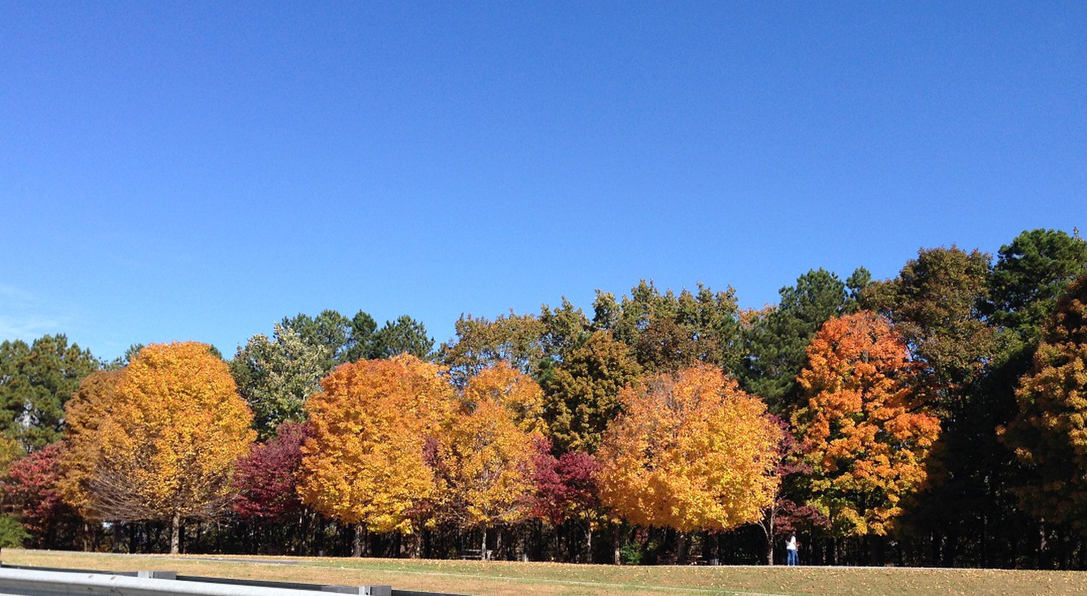 Fall Foliage Festival! Photo