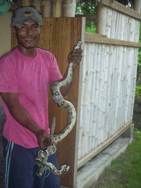 Bathroom Snake