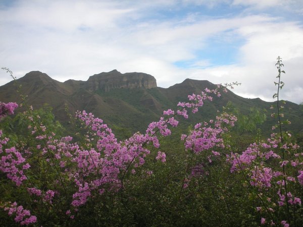 Mondongo Mtns in Vilcabamba
